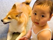 小さい女の子が、犬の誕生日に…お祝いしたくて見せた『愛あふれる行動』に感動の声「なんだか泣ける…」「一緒に成長してきたんだね」と絶賛
