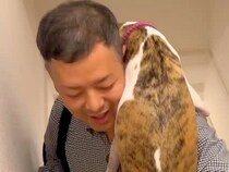 『ゲリラ雷雨』に怯えている犬→パパが帰ってきた途端に…愛おしすぎる『感情が爆発した光景』に反響「救世主だ」「まさにヒーロー」