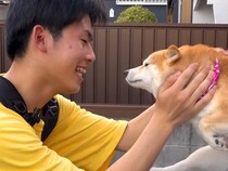 息子から『帰省する』と連絡→4匹の犬に伝えた結果…再会した瞬間『嗚咽をあげながら喜ぶ光景』が101万再生「涙が出てきた…」「天使」と悶絶