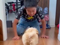 小学校から帰ってきた男の子が『8時間ぶりに犬と再会した』結果…最高すぎる『感動のおかえりなさい』が54万再生「大事なんだね」「癒やし」