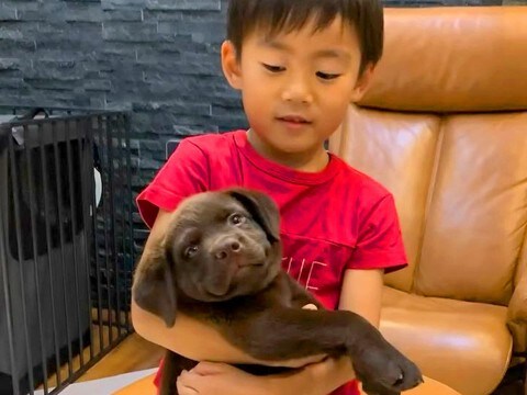 子犬を抱っこできないほど小さかった男の子→一緒に育ち、11歳の誕生日を迎えた結果…尊すぎる『成長記録』に絶賛「最高の相棒」「素敵な兄弟」