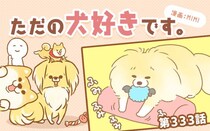 ただの犬好きです。【第333話】「沈黙」