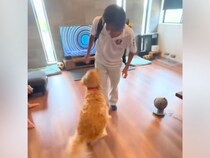 寮生活をしているお兄ちゃんと『5ヶ月ぶりに再会した大型犬』→思わず涙があふれる『感動の再会』に反響「とてもステキ」「ギューンってなる」