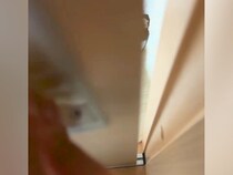 犬に気づかれないように家に帰った結果→ドアを開けてみたら…『まさかの光景』が41万再生「だるまさんが転んだで草」「最高のお出迎え」と反響