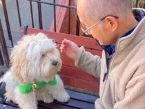 仲良しの近所のおじいさんを待っている犬→スルーされてしまい…許せず想像以上に『ブチギレる様子』が37万再生「孫みたいｗ」「素敵な関係」