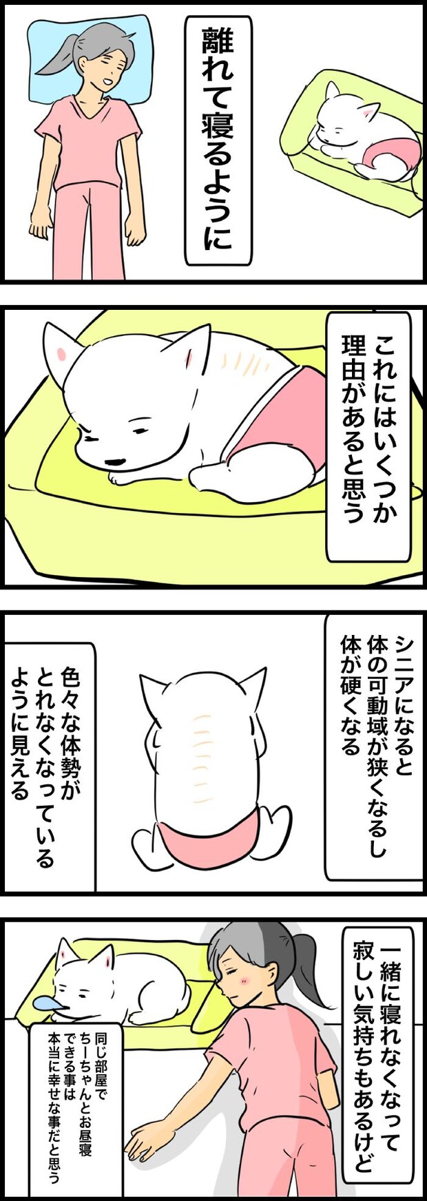 ちーちゃんですけどもっ【第331話】２
