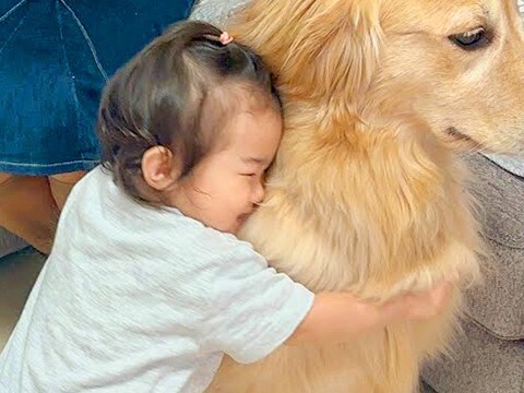 遊びに来たおばあちゃん→帰り際『バイバイ』と言ったら、1歳の女の子が大型犬に…勘違いした『まさかの行動』に反響「幸せすぎ」「相思相愛」