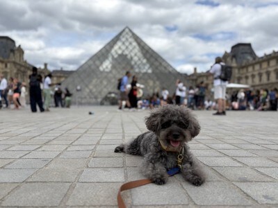 パリ、ルーブル美術館前。パリでもほぼ裸だった。