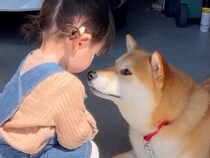 おばあちゃんに『孫への近寄り禁止令』を出されていた犬→初めて触れ合った結果…まさかの『尊すぎる光景』に反響「めちゃ優しい」「もう解禁」