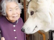 犬が嫌いな『90歳のおばあちゃん』の家に、大型犬を連れて行った結果…予想外すぎた『まさかの反応』が26万再生「ほっこり…」「癒された」