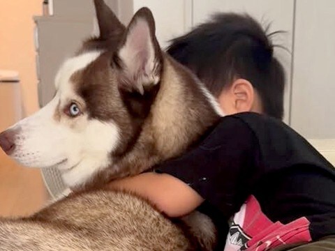 お姉ちゃんとのケンカに負けた男の子→大型犬が涙を舐めて…愛に溢れている『あまりにも尊い光景』に反響「仲良しさんだね」「癒される」