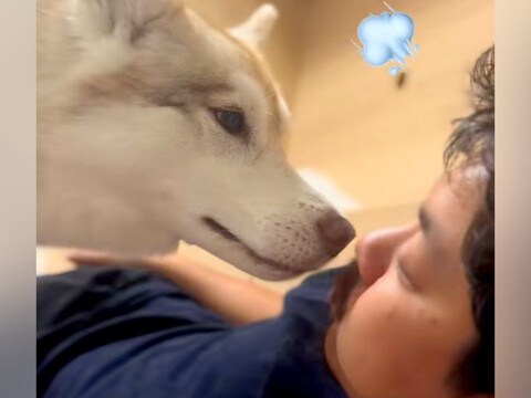 おならの音を『口で真似した』結果→大型犬が…面白すぎる『まさかの反応』が430万再生「最近で1番笑ったｗｗ」「どういう感情なのｗ」と絶賛