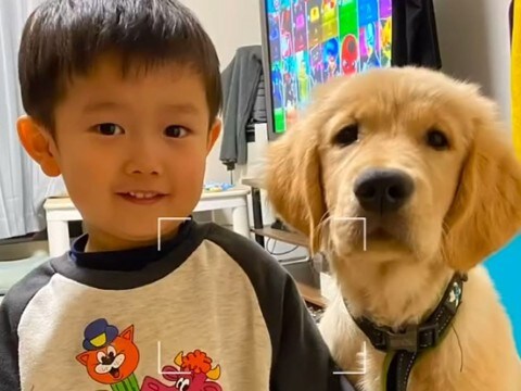 小さな男の子と大型犬の赤ちゃんが『6ヶ月間過ごした結果』…涙が出るほど尊い『兄弟のように育っている様子』が話題「幸せいっぱい掴もうね」