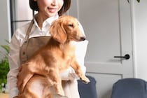 犬を『抱っこ』するときの絶対NG行為５選　体に負担をかける抱き方や安心させるコツまで
