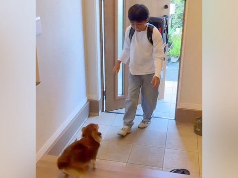学校から帰ってきた男の子→愛犬と『2日ぶりの再会』を果たした瞬間…思わず涙が出る『尊い光景』に反響「泣けてきた…」「深い絆を感じる」