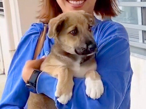 腕に収まっていた『小さな保護犬』を愛情たっぷりに育てた結果…2年後→思わず涙が出る『成長』が53万再生「幸せそう」「可愛すぎる」と反響