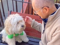 仲良しの近所のおじいさんを待っている犬→スルーされてしまい…許せず想像以上に『ブチギレる様子』が37万再生「孫みたいｗ」「素敵な関係」