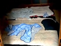 布団で寝ていたはずの犬が行方不明に→家中を探してみたら…まさかの場所で発見される光景が話題に「可愛すぎる」「何故そんな所を選んだｗ」