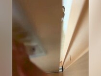 犬に気づかれないように家に帰った結果→ドアを開けてみたら…『まさかの光景』が41万再生「だるまさんが転んだで草」「最高のお出迎え」と反響