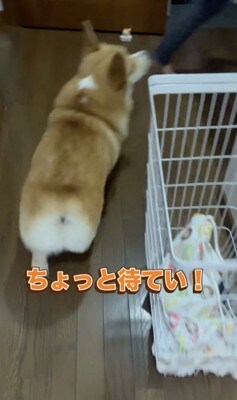 ピッタリ追います！