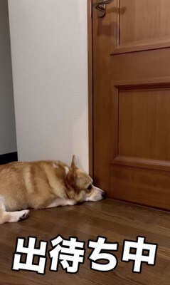 トイレの真ん前で