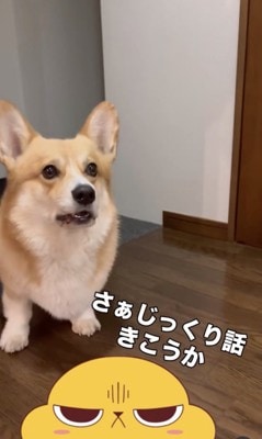 「逃がさないから!」
