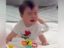 赤ちゃんが『犬を初めて見た』結果、怯えてギャン泣き…2時間後→予想と違った『ビフォーアフター』に反響「顔がいい」「優しく見守ってる」