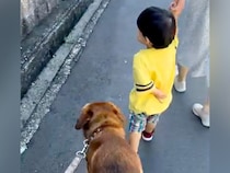 散歩中、側溝を歩きたがる小さな男の子→元保護犬が『危ない』と気づいて…思わず泣けてくる『尊い行動』に反響「優しくて涙が…」「素晴らしい」
