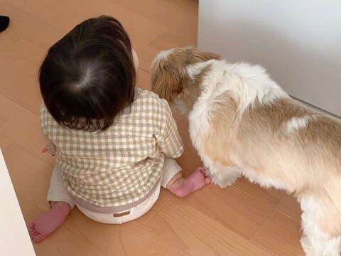 キッチンで並んでいる犬と赤ちゃん→後ろ姿を撮影していたら、次の瞬間…まるで『双子のような行動』に反響「シンクロしてる」「あうんの呼吸」