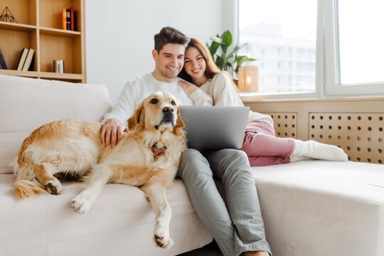 犬を『幸せにできる人』の共通点4選　主な特徴や愛犬にとっての幸福とは？