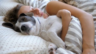 ベッドで犬を抱きしめて眠る女性