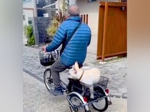 おじいちゃんが『三輪車に乗った』結果→後ろに犬を乗せて…微笑ましすぎる『初めての乗車』が6万再生「いいコンビ」「おじいちゃん完璧」と反響
