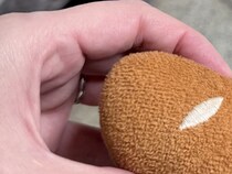 犬の飼い主が会社に出勤→カバンの中を覗いてみたら…今すぐ早退したくなる『ハプニング』に11万いいね「俺が上司なら速攻帰宅させる」と大反響