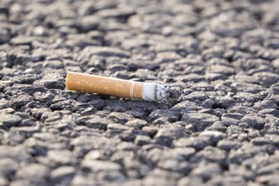 道路に捨てられたタバコの吸い殻