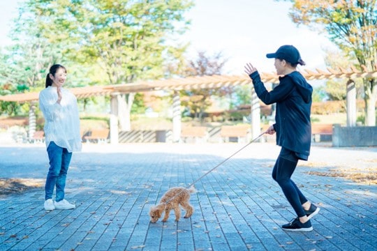 犬との初対面で絶対にしてはいけない『間違った挨拶』3選　避けるべき理由と正しいアプローチ方法