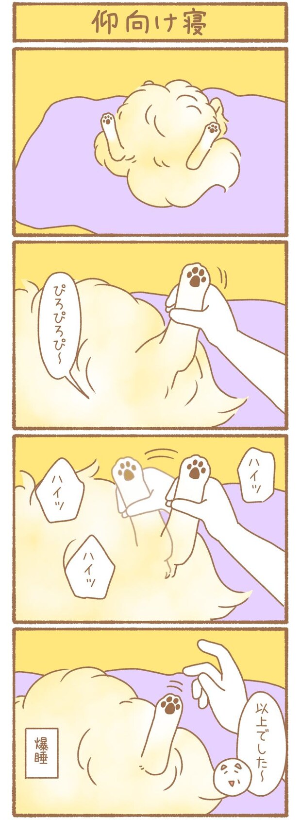 ただの犬好きです。【第335話】