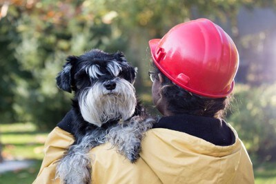 ヘルメットをかぶった人の肩から顔を覗かせる犬
