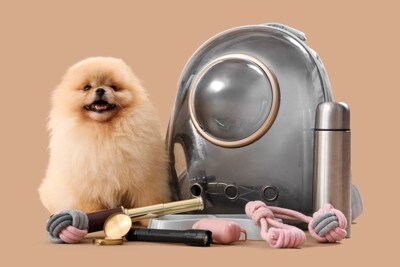 犬とお出かけグッズ