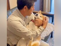 1週間の出張に行くことになった父→犬に『お別れ』を言った結果…尊すぎる『行ってきますの儀式』が88万再生「パパの愛が深いｗ」「相思相愛」