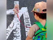 2歳の男の子と16歳のおじいちゃん犬が『一緒にお散歩した』結果→愛おしすぎる光景が6万再生「ダブルリードｗ」「癒される」と反響