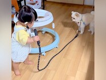 小さい女の子が、家の中で『犬のお散歩』をした結果→おぼつかない足取りで…涙が出るほど『尊い光景』に絶賛「癒やされた」「考えてて偉い」