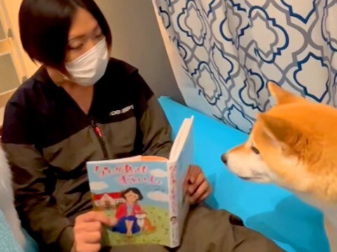 絵本を持っていたら『なにしてるの？』と近づいてきた犬→読み聞かせてあげた結果…まるで親子のような光景が22万再生「愛にあふれた空間…」