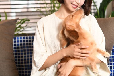 女性に甘える犬