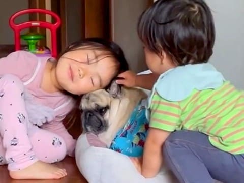 小さい男の子と女の子が『犬を溺愛した』結果→2人でそばに寄り添い…涙あふれる『幸せな光景』が13万再生「優しさしかない…」海外からも絶賛