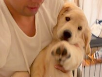 寝る時間になってもベッドに行かない大型犬→お父さんに『強制連行』されて…甘えん坊な『就寝前の光景』が67万再生「可愛すぎ」「赤ちゃんｗ」