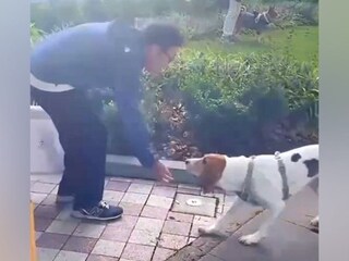昔ボランティアでお世話した『ガリガリの保護犬』→1年ぶりに再会した結果…思わず涙する『感動の瞬間』に反響「しっぽブルンブルン」「泣いた」
