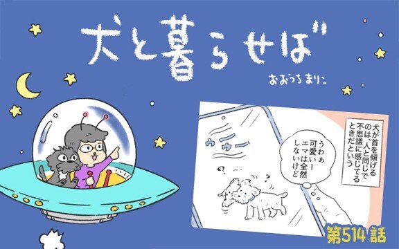 犬と暮らせば【第514話】「ソレの意味ナニ」