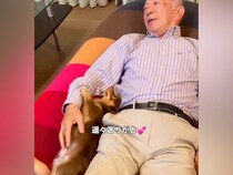 『大好きなおじいちゃんとおばあちゃん』が遊びに来ると、犬が…愛情いっぱいの『おもてなし』に反響「みんな幸せ」「優しさに溢れた空間」と絶賛