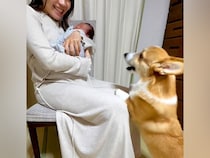 赤ちゃんと犬を『初めて会わせた』結果→想像以上に気になってしまい…あまりにも愛おしい『結末』に反響「いいお兄ちゃん」「賑やかになりそう」