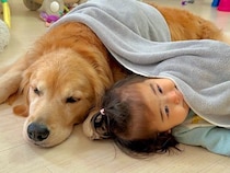 転がる1歳の女の子と大型犬に『タオルをかけてあげた』結果→『一緒に眠ろう』と誘う光景が尊すぎると39万再生「ほんと優しい」「全員可愛い」